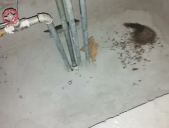 太湖卫生间测漏水价格明细